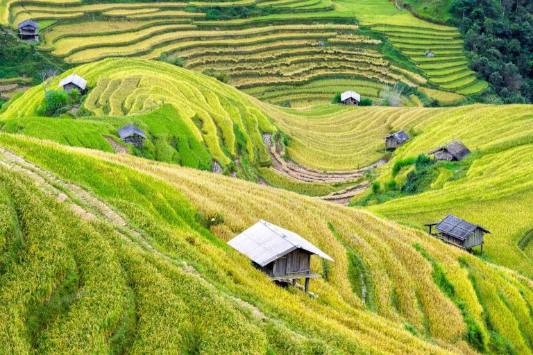 Sapa Trekking 2D1N Sleeping Hotel (Private Tour) 15 1723017299587Sapa-Trekking-Vietnam