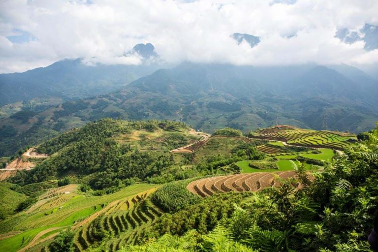Sapa Trekking 2D1N Sleeping Hotel (Private Tour) 16 1723017311672blog-homestay-trekking-in-sapa-1