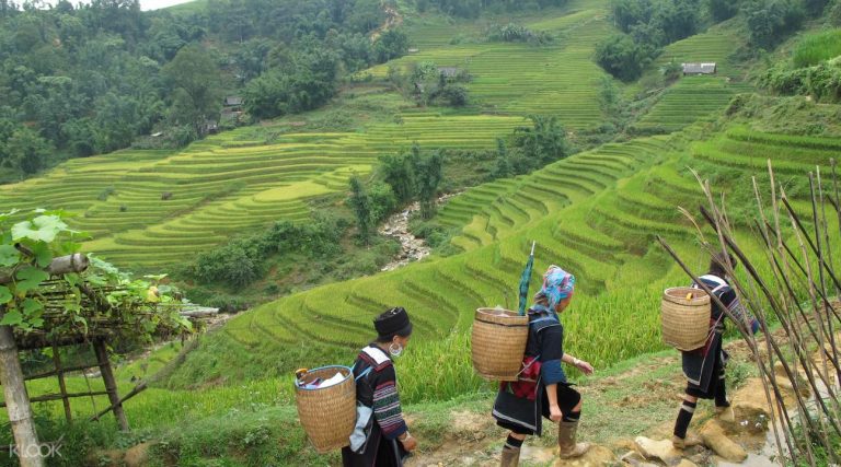 Sapa Trekking 2D1N Sleeping Hotel (Private Tour) 20 17230173614042D1NSapaTrekkingTourfromHanoi
