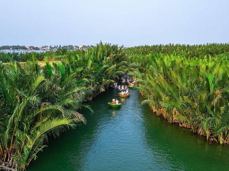 BAY MAU COCONUT FOREST IN HOI AN - JUNGLE ECO TOUR 17 1725009802126IMG_7501