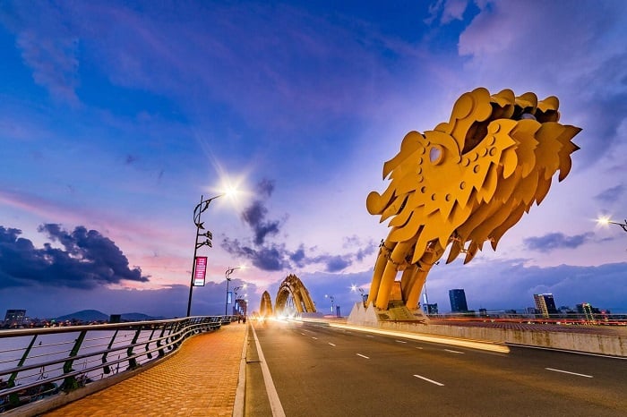 Danang city tour 13 1725012765418cau-rong-da-nang-1-1