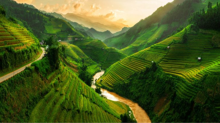 sapa