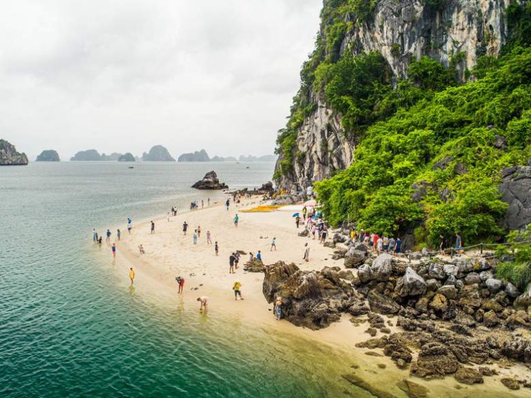 Ha Long Bay 1 Day Classic 19 1722006107164Ha-Long-2