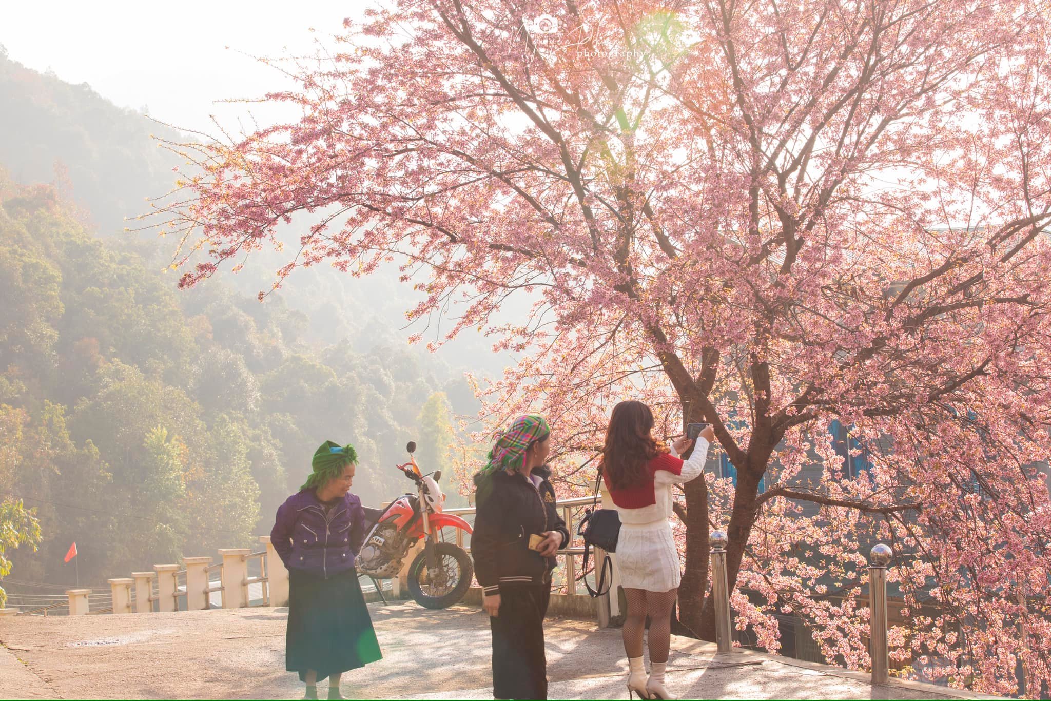 HA GIANG EASY RIDER TOUR 4D3N 1 416721105 785895813553155 4158001364546419000 n