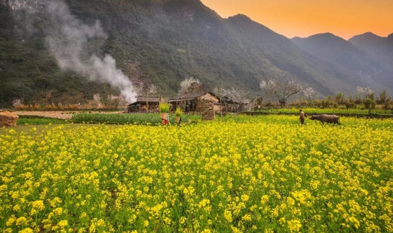 Ha Giang Dong Van Karst Plateau 3 days 2 nights 18 82f2871993f93fa766e8