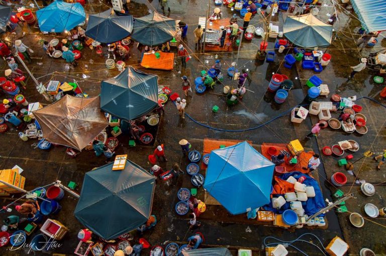 VIET NAM TRIP: 14 Days 13 Nights 43 Thanh-Ha-Fish-Market-min