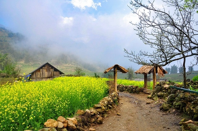 VIET NAM TRIP 2025 – SOUTHERN & CENTRAL VIETNAM – Duration: 10 days 9 nights 50 canh-dep-sapa-mua-xuan-13-min
