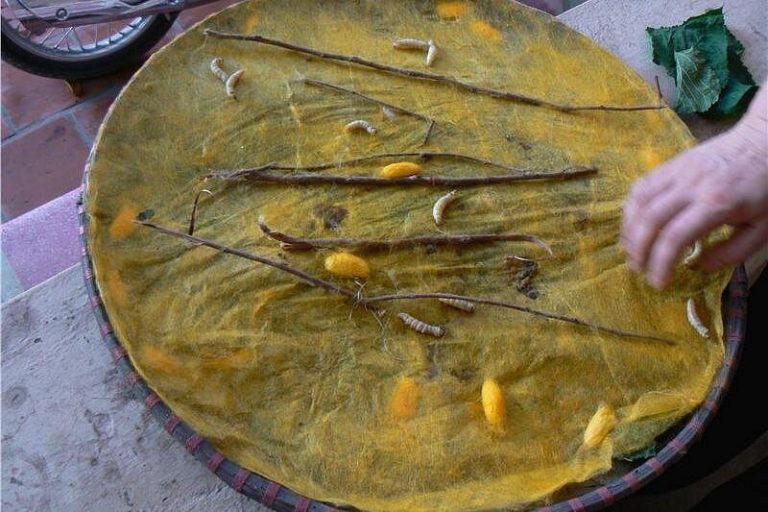 Private tour Bat Trang ceramic village - Van Phuc silk village with local meals 19 caption (7)