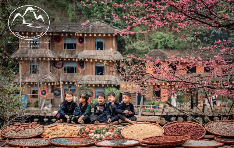 Sapa Fansipan Sightseeing Tour 2D1N Small Group 38 catcat-3