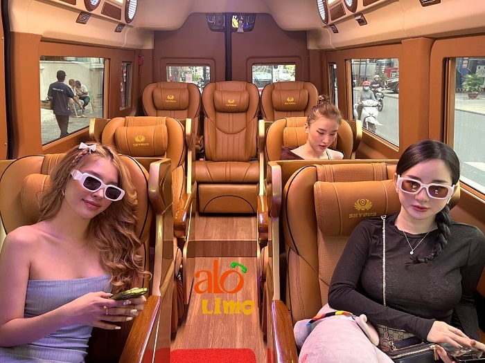 Limousine, sleeping bus, train, flight tickets 16 cho-thue-xe-limousine-9-cho-tphcm-min