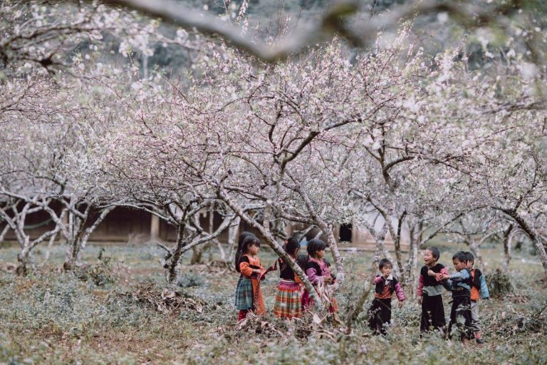Unique Ha Giang Loop Tour: 3 Days 2 Nights by Limousine 27 dulichhagiang-15