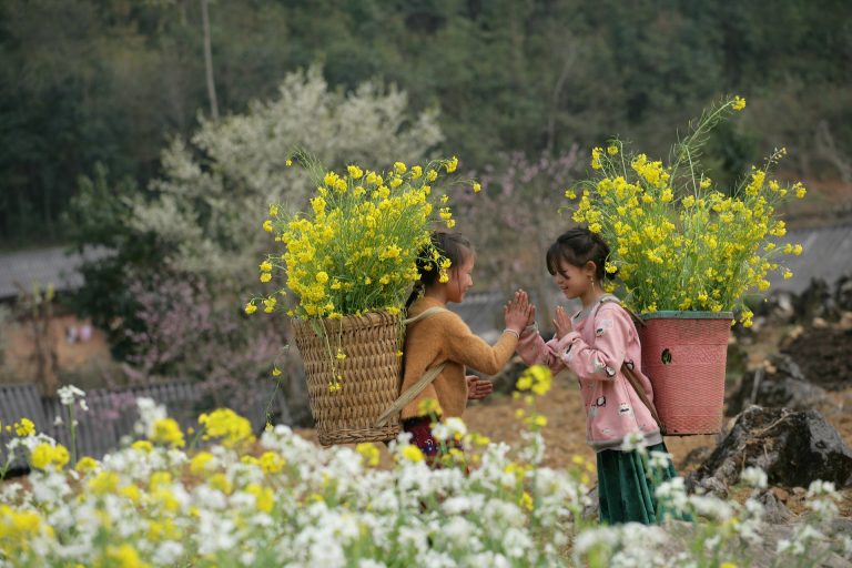 Unique Ha Giang Loop Tour: 3 Days 2 Nights by Limousine 13 ha-giang-7947012_1920