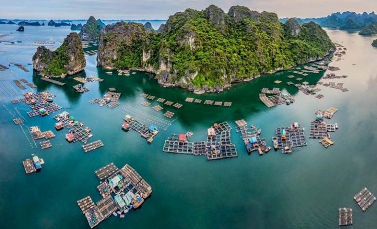 lang-chai-vung-vieng-6045cc36a1cdc