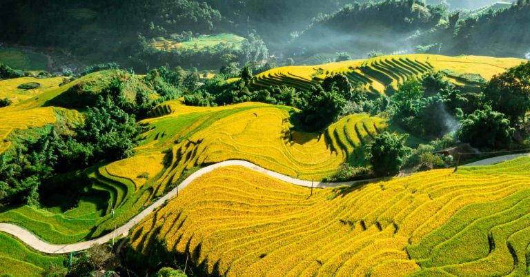 VIET NAM TRIP 2025 – SOUTHERN & CENTRAL VIETNAM – Duration: 10 days 9 nights 47 sapa-25vn-4-72-min