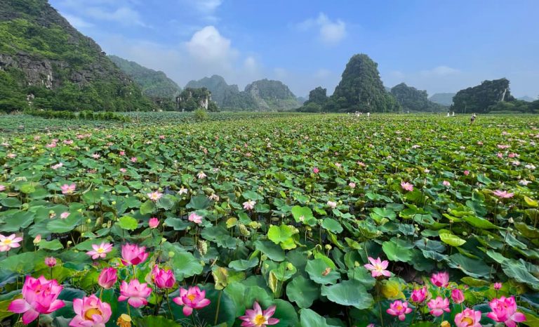 VIET NAM TRIP 2025 – SOUTHERN & CENTRAL VIETNAM – Duration: 10 days 9 nights 16 senmuacave-min