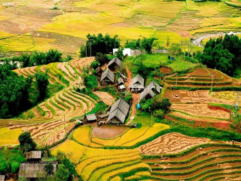 Sapa Fansipan Sightseeing Tour 2D1N Small Group 43 thung-lung-muong-hoa-8_457101682